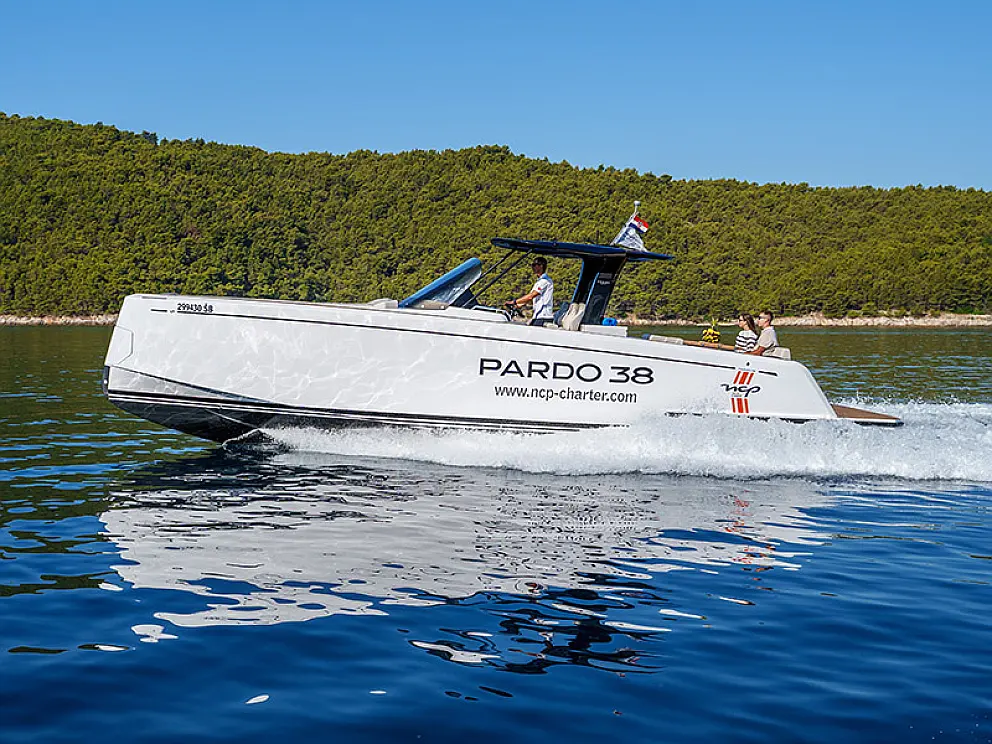 Pardo 38